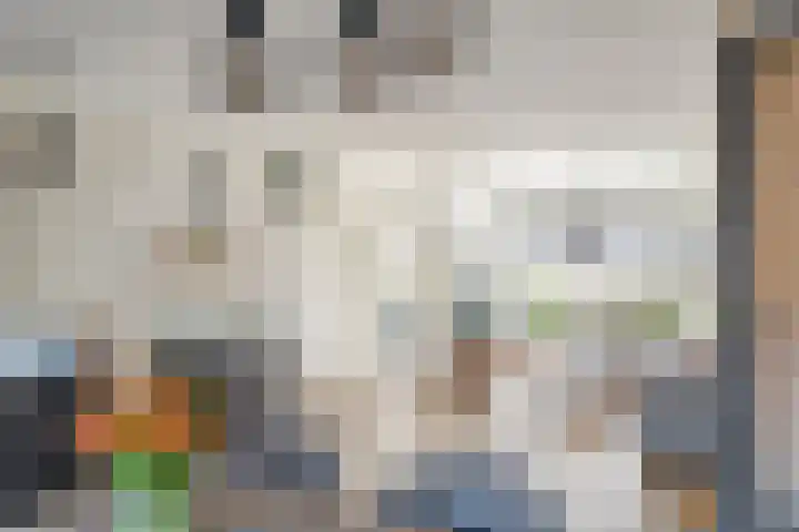 Zonnedauw 58 Tiel thumbnail 11