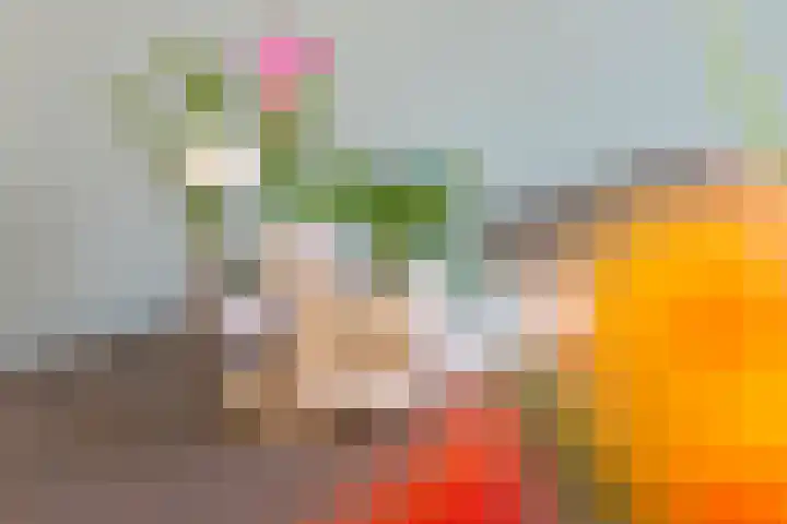 Zonnedauw 58 Tiel thumbnail 17