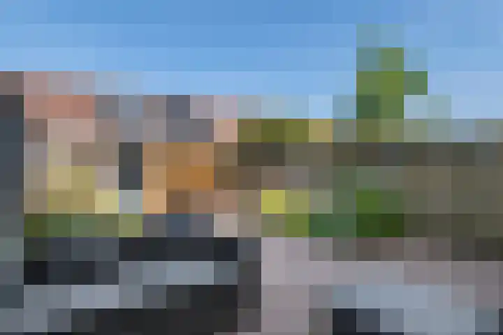 Zonnedauw 58 Tiel thumbnail 18