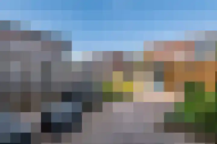 Zonnedauw 58 Tiel thumbnail 19