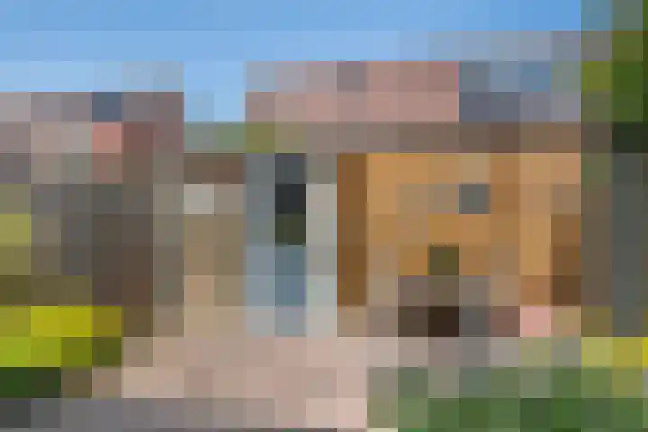 Zonnedauw 58 Tiel thumbnail 20