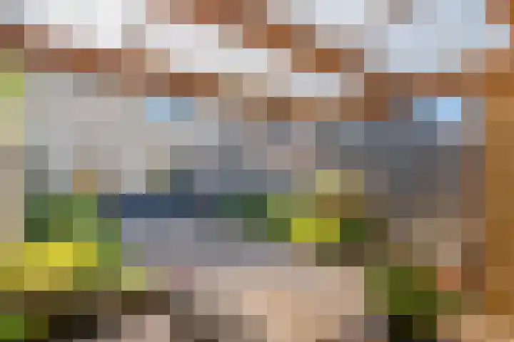 Zonnedauw 58 Tiel thumbnail 21