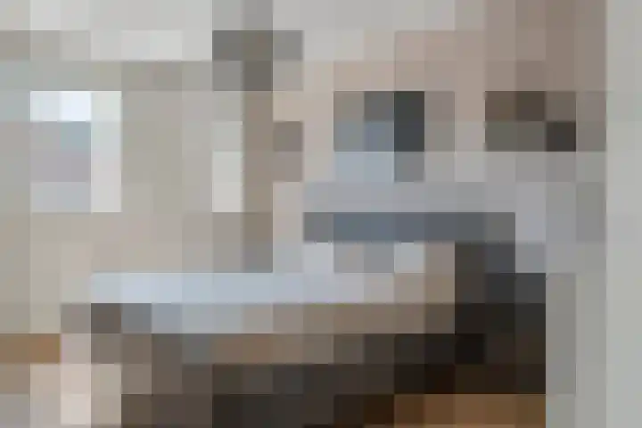 Zonnedauw 58 Tiel thumbnail 24