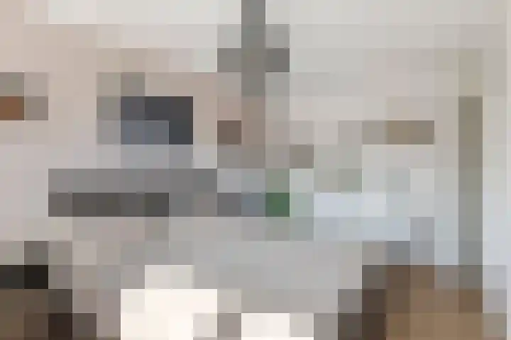 Zonnedauw 58 Tiel thumbnail 25