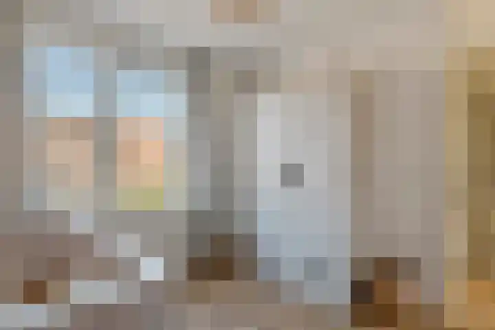 Zonnedauw 58 Tiel thumbnail 28