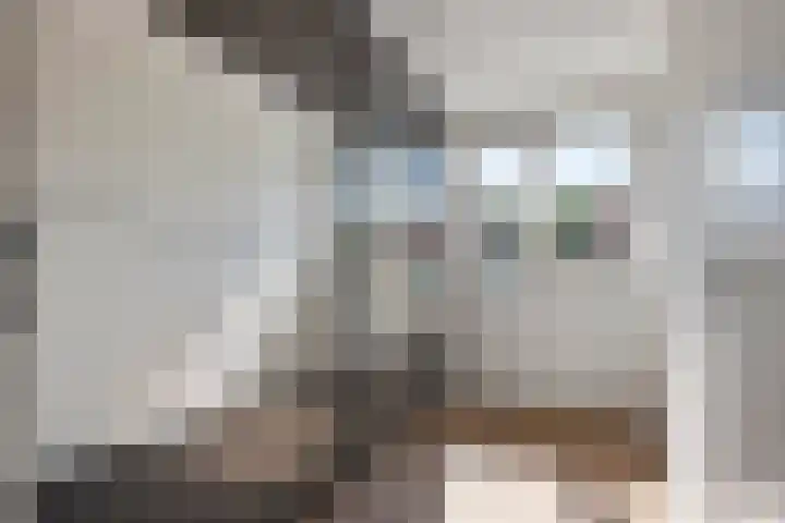 Zonnedauw 58 Tiel thumbnail 29