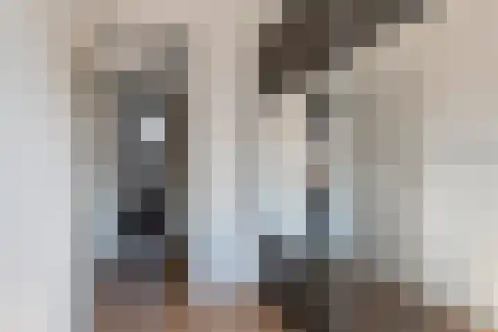 Zonnedauw 58 Tiel thumbnail 30