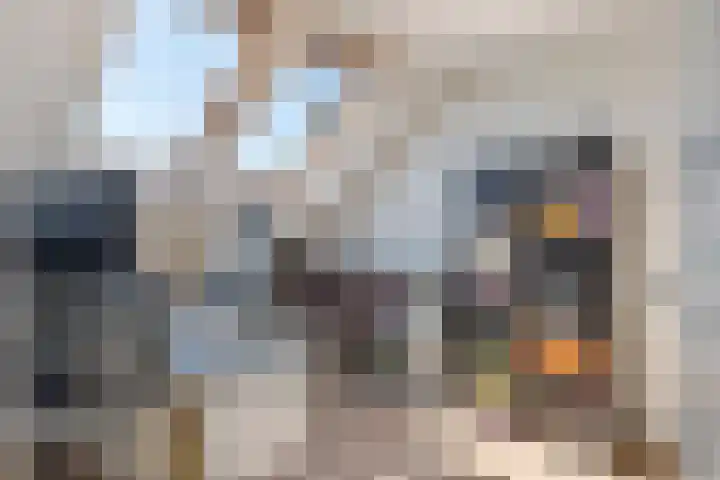 Zonnedauw 58 Tiel thumbnail 35