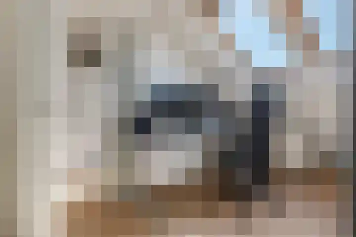 Zonnedauw 58 Tiel thumbnail 36