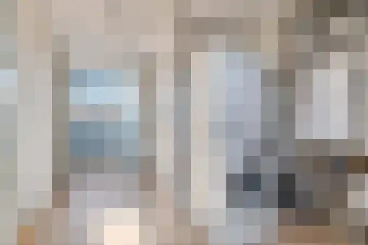 Zonnedauw 58 Tiel thumbnail 37