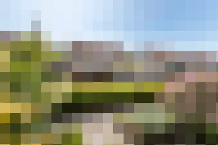 Zonnedauw 58 Tiel thumbnail 39