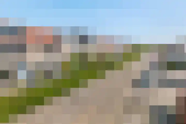 Zonnedauw 58 Tiel thumbnail 40