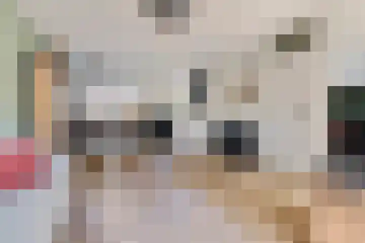 Zonnedauw 58 Tiel thumbnail 9