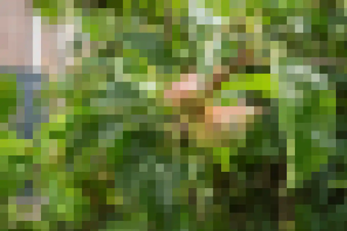 Zonnedauw 6 Uitgeest thumbnail 25