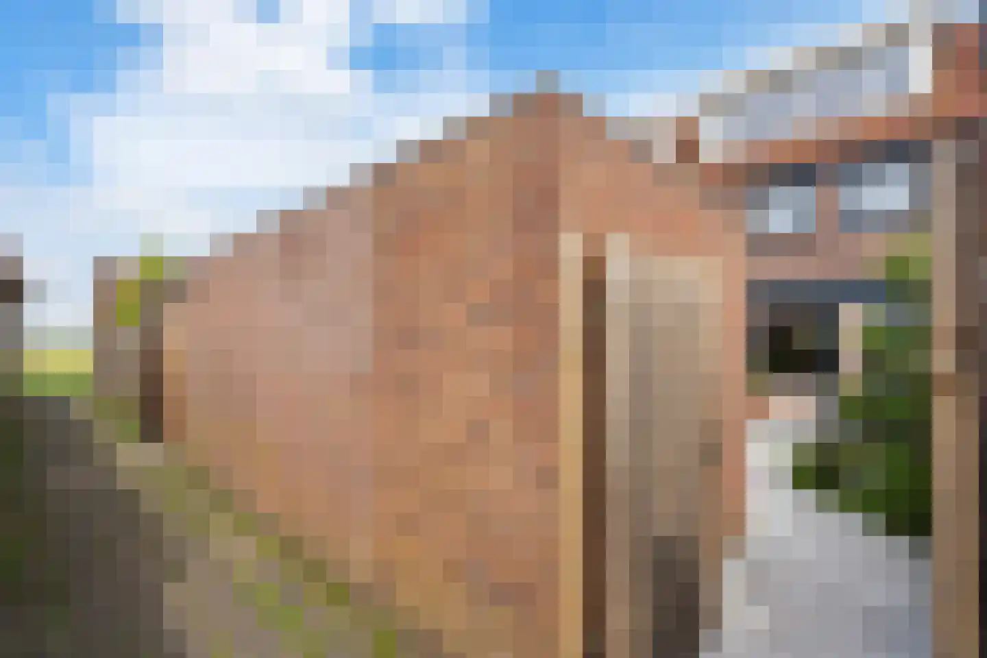 Zonnedauw 6 Uitgeest thumbnail 26