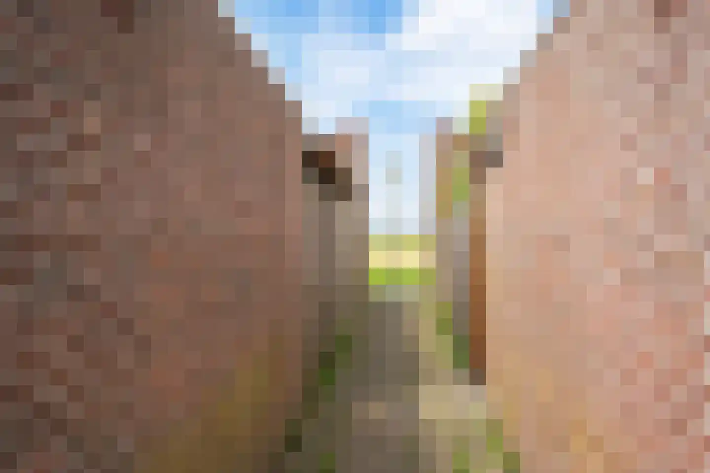 Zonnedauw 6 Uitgeest thumbnail 27