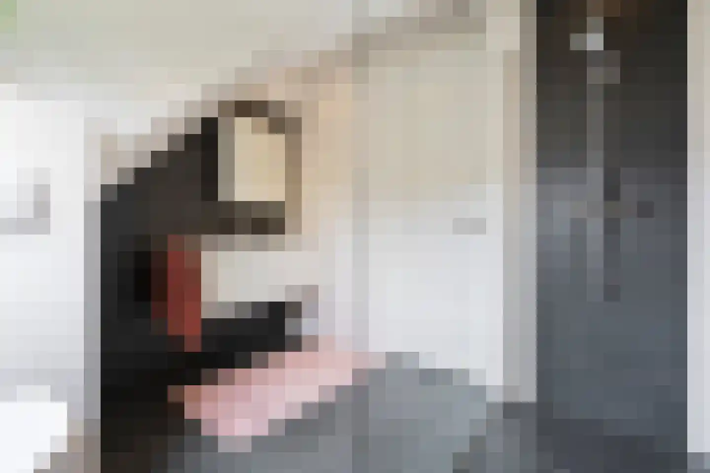 Zonnedauw 6 Uitgeest thumbnail 43