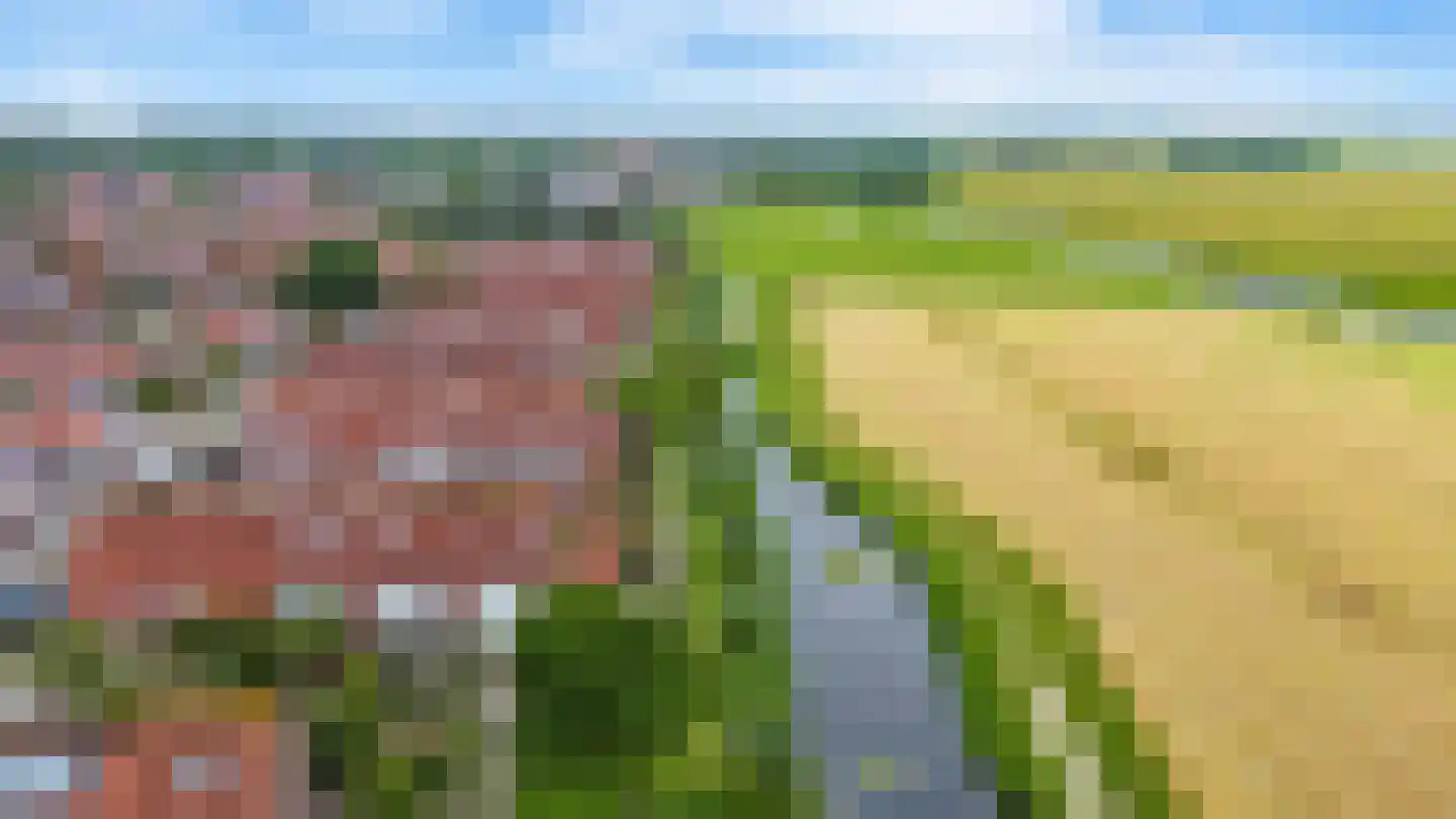 Zonnedauw 6 Uitgeest thumbnail 54