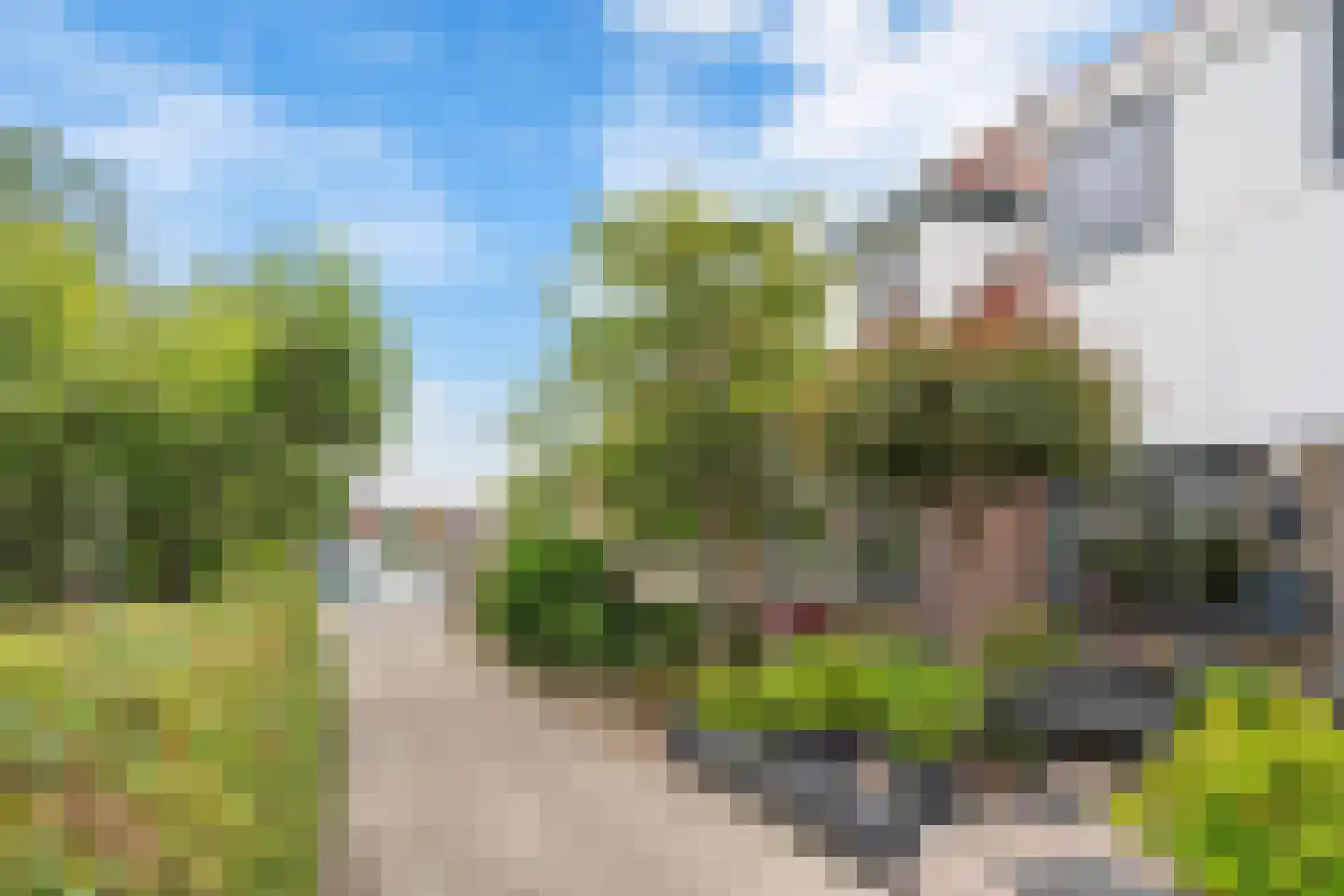 Zonnedauw 6 Uitgeest thumbnail 6