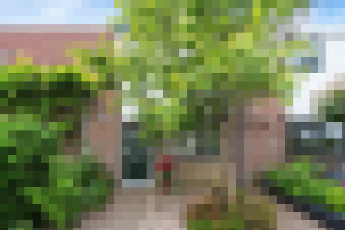 Zonnedauw 6 Uitgeest thumbnail 7