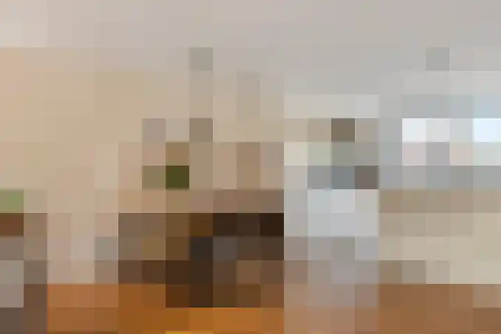 Zonnedauw 65 Tiel thumbnail 11