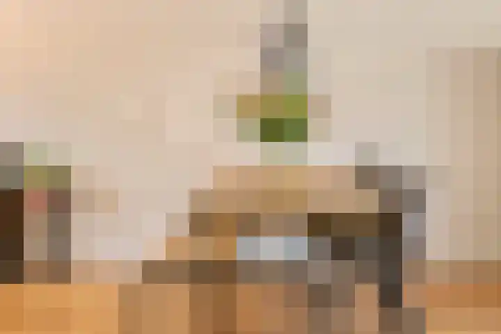 Zonnedauw 65 Tiel thumbnail 12