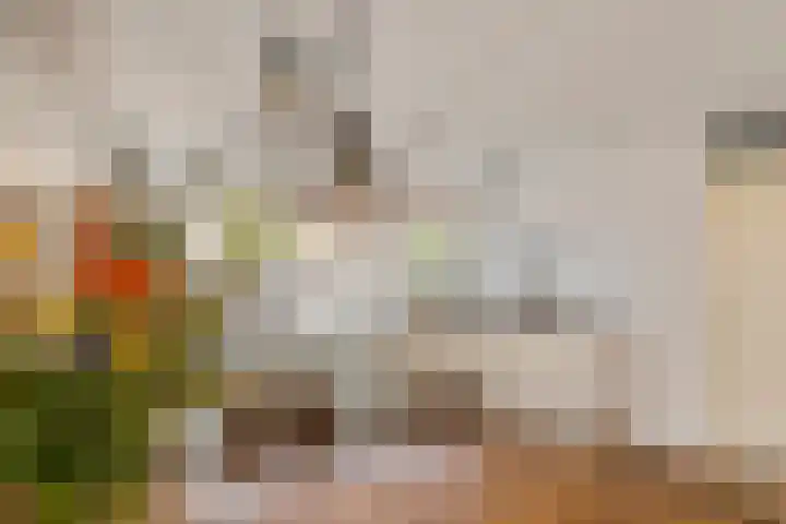 Zonnedauw 65 Tiel thumbnail 13