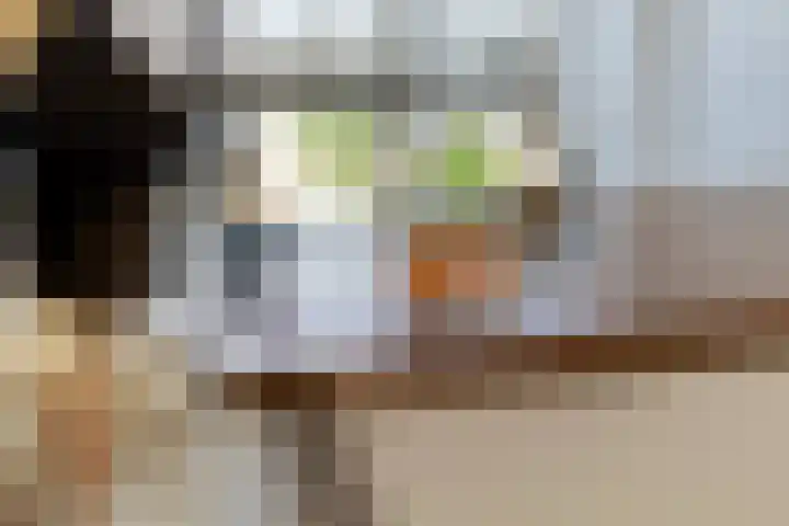Zonnedauw 65 Tiel thumbnail 14