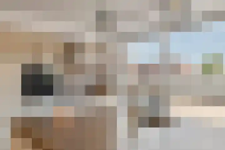 Zonnedauw 65 Tiel thumbnail 15