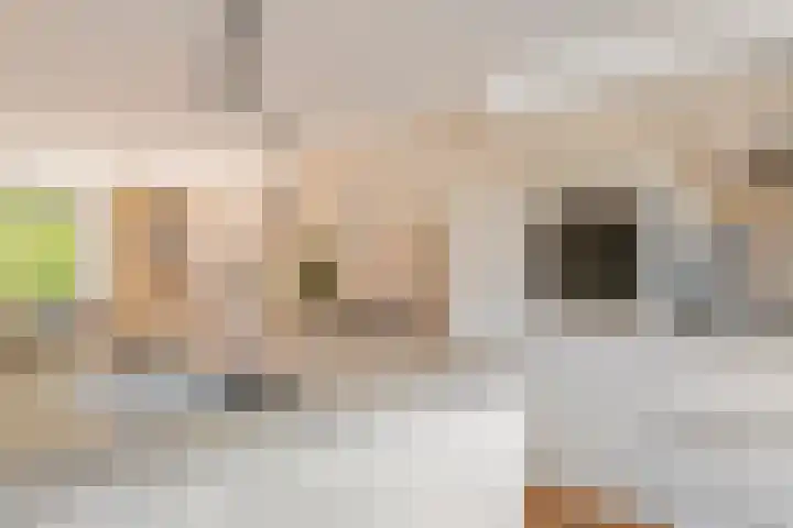 Zonnedauw 65 Tiel thumbnail 16