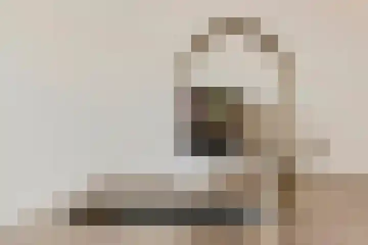 Zonnedauw 65 Tiel thumbnail 17