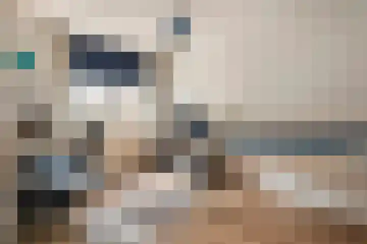 Zonnedauw 65 Tiel thumbnail 24