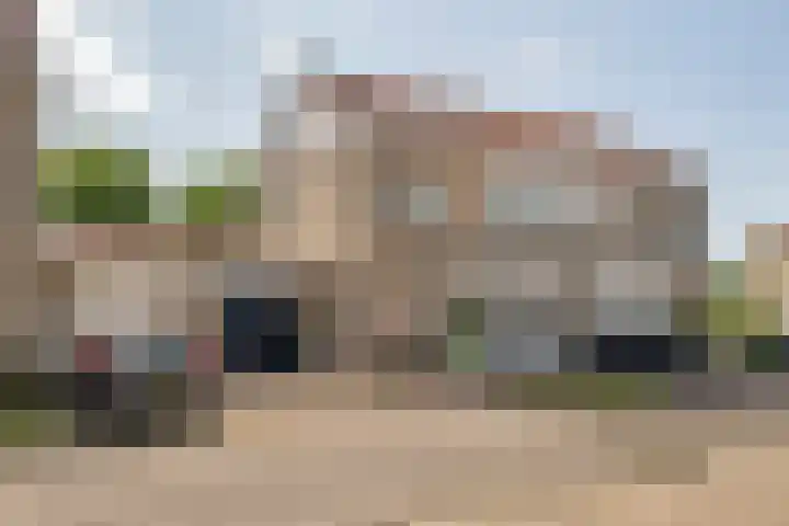 Zonnedauw 65 Tiel foto 3