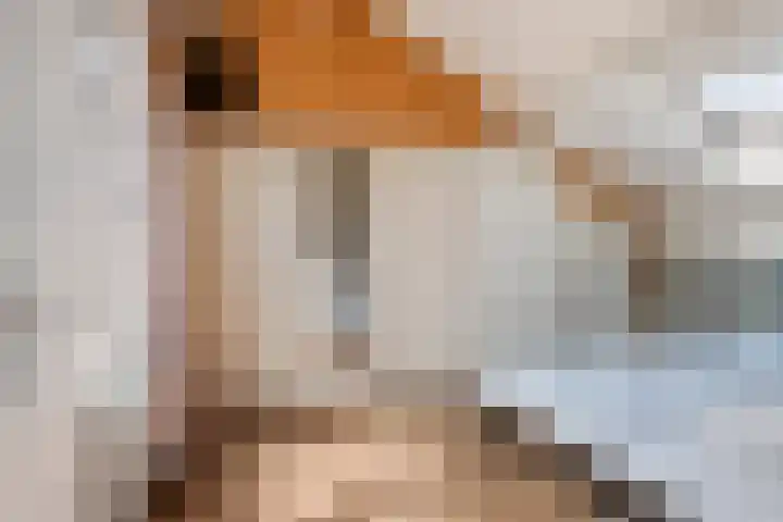 Zonnedauw 65 Tiel thumbnail 30