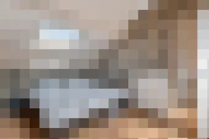 Zonnedauw 65 Tiel thumbnail 32
