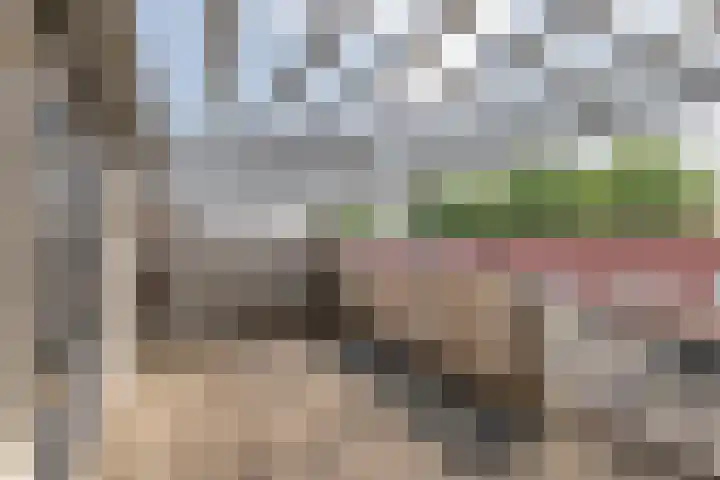 Zonnedauw 65 Tiel thumbnail 33