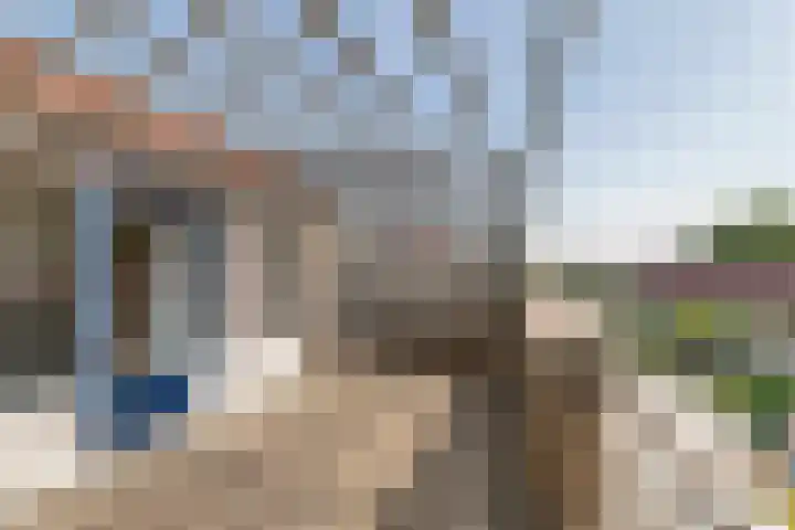 Zonnedauw 65 Tiel thumbnail 34