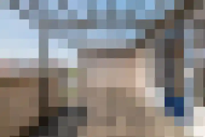 Zonnedauw 65 Tiel thumbnail 35