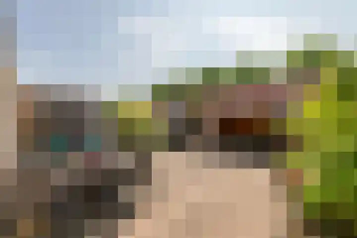 Zonnedauw 65 Tiel thumbnail 36