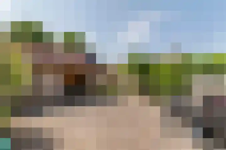 Zonnedauw 65 Tiel thumbnail 37