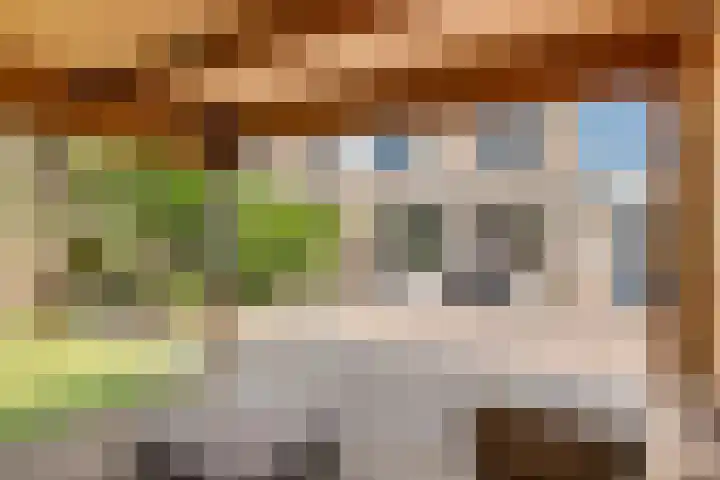 Zonnedauw 65 Tiel thumbnail 38