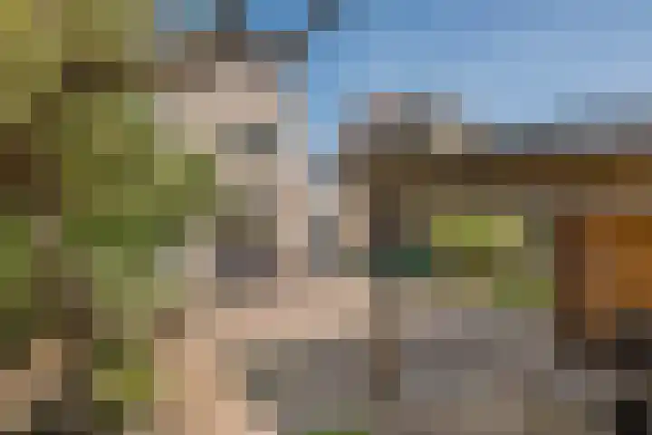Zonnedauw 65 Tiel thumbnail 39