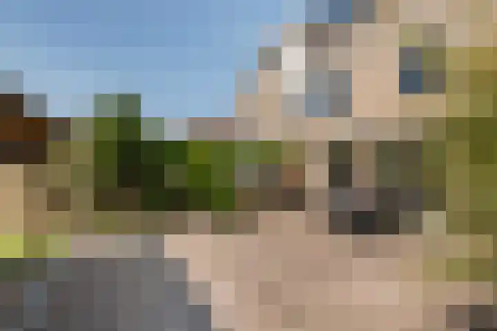 Zonnedauw 65 Tiel thumbnail 40