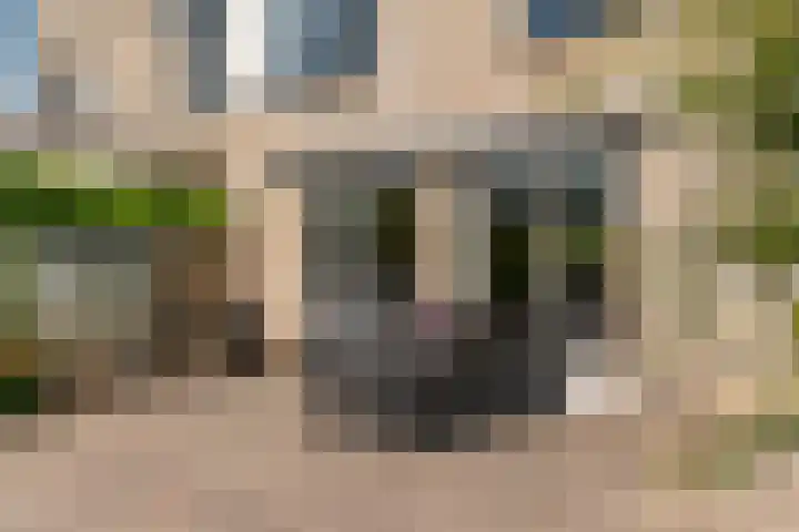 Zonnedauw 65 Tiel thumbnail 41