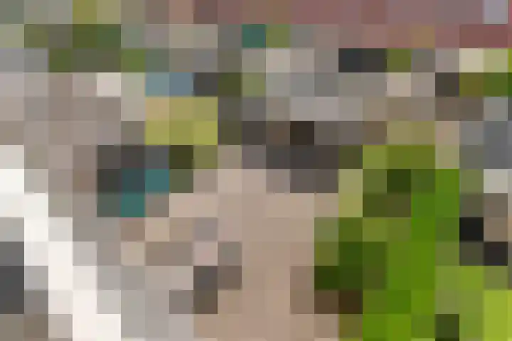 Zonnedauw 65 Tiel thumbnail 42
