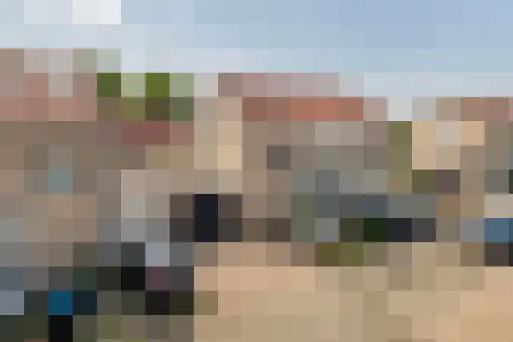 Zonnedauw 65 Tiel thumbnail 43