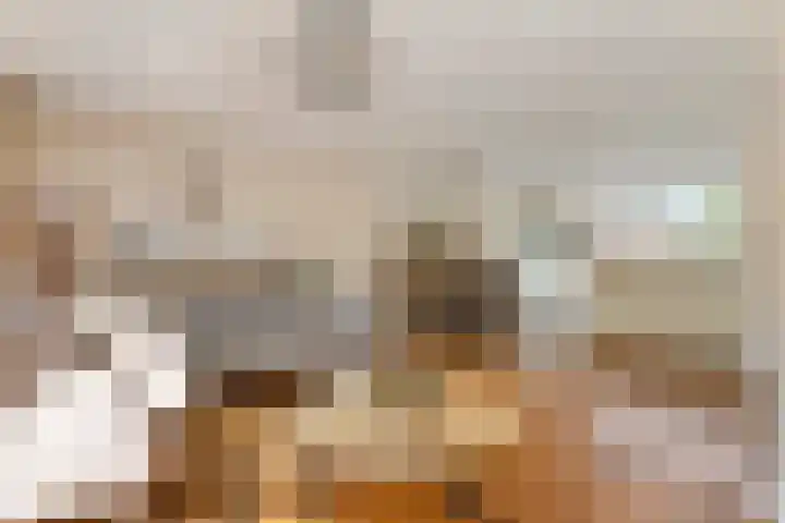 Zonnedauw 65 Tiel thumbnail 50