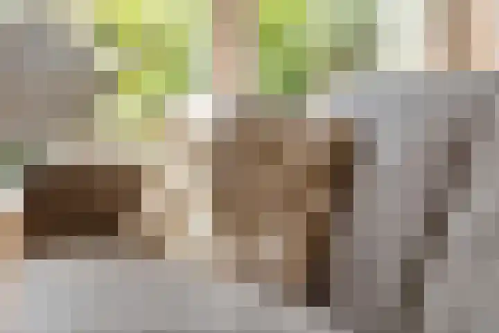 Zonnedauw 65 Tiel thumbnail 7