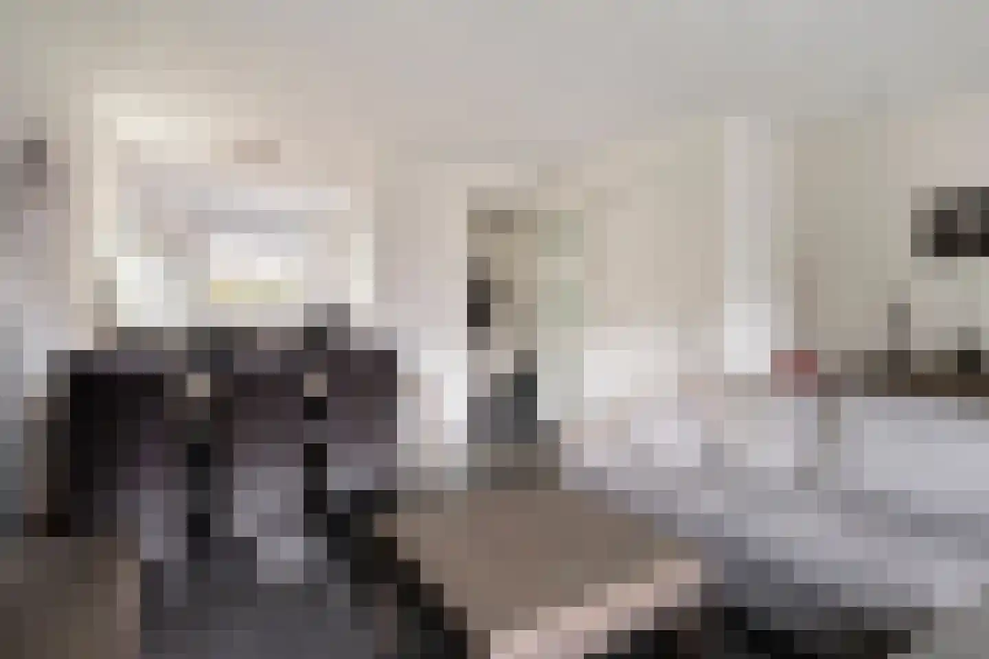 Zonnedauw 7 Mariahout thumbnail 11