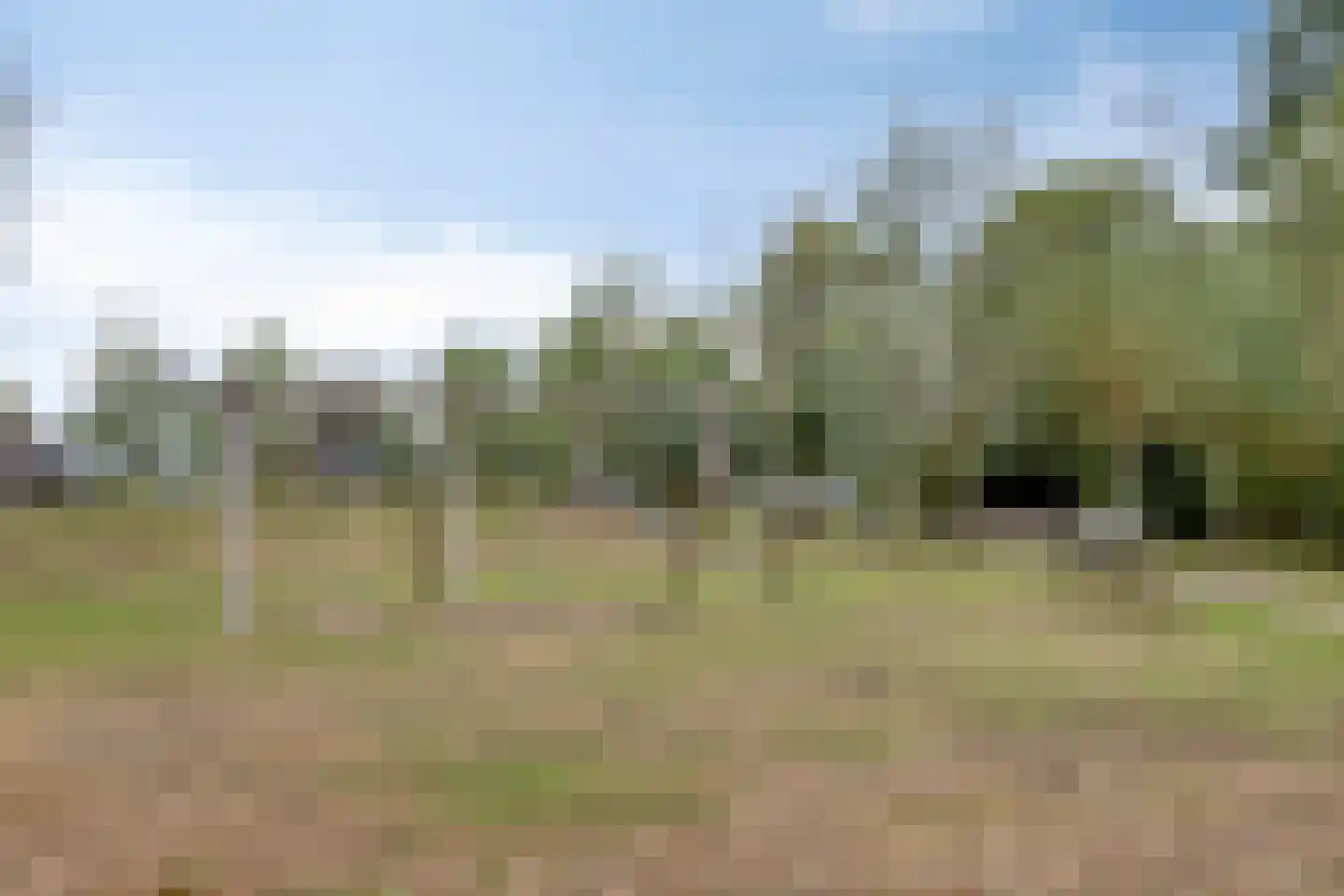 Zonnedauw 7 Mariahout thumbnail 32